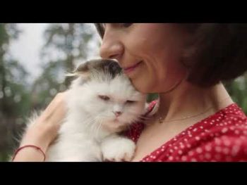 Cat Chow ADULT. З яловичиною та баклажанами в желе, 85 г (7613036595025) Cat Chow ADULT. З яловичиною та баклажанами в желе, 85 г (7613036595025) | Фото 10