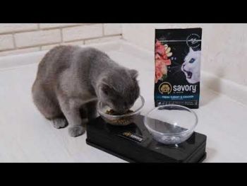 Сухий корм для кастрованих котів Savory зі свіжим м'ясом ягняти та курки 2 кг (4820232630112) | Фото 9