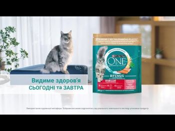 Purina One Steril Cat Salmon & Wheat 800 г (7613032756659) | Фото 11