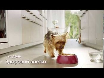 Вологий корм Purina One Mini Adult, в соусі, з куркою, морквою та зеленою квасолею 85г (8445290298263) | Фото 3