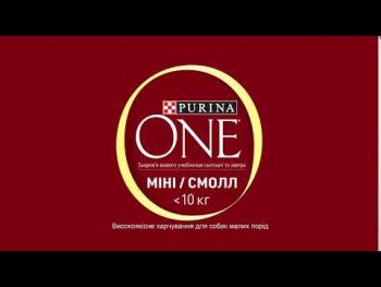 Вологий корм для активних собак Purina One Mini Active, в соусі, з ялович., морквоюта картоплею 85 г (8445290298287) | Фото 3