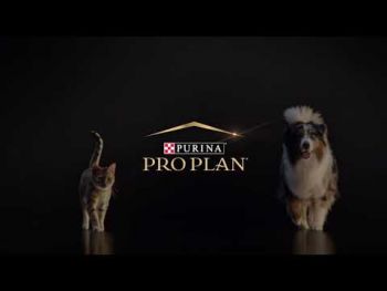 Для котів із захв. нирок Purina Pro Plan Veterinary Diets NF Renal Function Advanced Care 350г(7613287886217) Для котів із захв. нирок Purina Pro Plan Veterinary Diets NF Renal Function Advanced Care 350г(7613287886217) | Фото 11