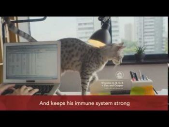 Сухий корм кішок Purina Pro Plan Cat Original Adult з лососем, 10 кг (7613036508315) Сухий корм кішок Purina Pro Plan Cat Original Adult з лососем, 10 кг (7613036508315) | Фото 8