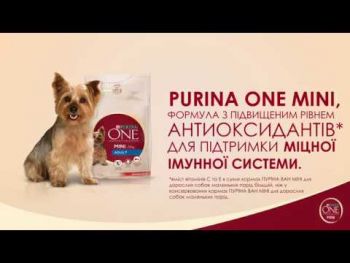 Сухий корм для активних собак дрібних порід Purina One Mini Active з куркою та рисом 1.5 кг(8445290348265) Сухий корм для активних собак дрібних порід Purina One Mini Active з куркою та рисом 1.5 кг(8445290348265) | Фото 9