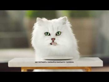 Purina Gourmet Gold з кроликом, шматочки в паштеті 85 г (7613033706271) Purina Gourmet Gold з кроликом, шматочки в паштеті 85 г (7613033706271) | Фото 9