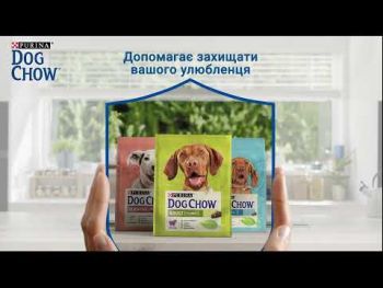 Purina Dog Chow для схильних до алергії, з лососем, 14 кг (7613034488244) Purina Dog Chow для схильних до алергії, з лососем, 14 кг (7613034488244) | Фото 1