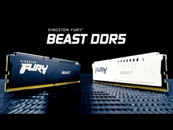 Купить оперативную память Пам'ять для ПК KINGSTON DDR5 64GB 5600 FURY Beast (KF556C40BB-64) | Фото 4