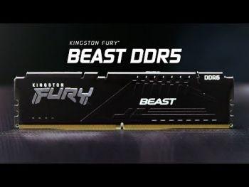 Пам'ять для ПК KINGSTON DDR5-6000 32GB FURY Beast Black EXPO (KF560C36BBE-32) Пам'ять для ПК KINGSTON DDR5-6000 32GB FURY Beast Black EXPO (KF560C36BBE-32) | Фото 7