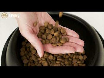 Сухий корм для цуценят Savory зі свіжим м'ясом індички та куркою 1кг(4820232630280) Сухий корм для цуценят Savory зі свіжим м'ясом індички та куркою 1кг(4820232630280) | Фото 9