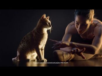 Вологий корм для котів Pro Plan Sterilised після стерилізації з океанічною рибою 85 г | Фото 11