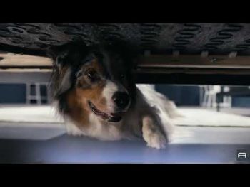 Акумуляторний пилосос ROWENTA X-Force Flex 12.60 NEO Auto Aqua Allergy RH9LC1WO | Фото 9