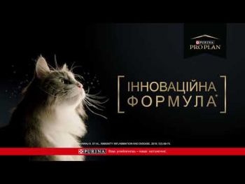Сухий корм для кішок старше 7 років Purina Pro Plan LiveClear Sterilised з індичкою, 1.4 кг (7613287232731) | Фото 12