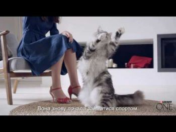 Purina One Steril Cat Salmon & Wheat 800 г (7613032756659) | Фото 2