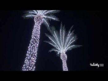 Twinkly Pro Strings RGBW 250 TWP-S-CA-1X250SPP-B черная (TWP-S-CA-1X250SPP-B) | Фото 5