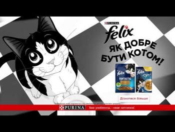 Purina Felix Fantastic З ягням. Шматочки у желе, 85 г (7613039838969) Purina Felix Fantastic З ягням. Шматочки у желе, 85 г (7613039838969) | Фото 1