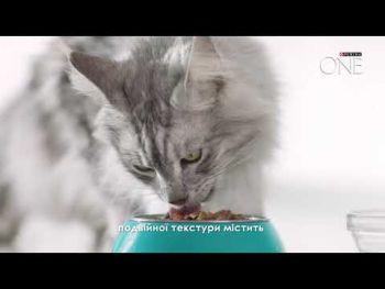 Сухий повнораціонний корм для дорослих кішок Purina One DualNature з куркою 1.4 кг(7613036269025) | Фото 6