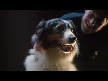 Вологий корм для собак Purina Vet Diets Dog NF Renal Function при нирковій недостатності 400 г (7613035181465) Вологий корм для собак Purina Vet Diets Dog NF Renal Function при нирковій недостатності 400 г (7613035181465) | Фото 8