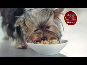 Сухий корм для цуценят малих порід Purina One Mini Junior c куркою та рисом 800 г (7613035027022) Сухий корм для цуценят малих порід Purina One Mini Junior c куркою та рисом 800 г (7613035027022) | Фото 5