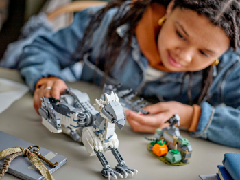 Конструктор LEGO Harry Potter Бакбик (76427) | Фото 11