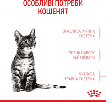 Сухий корм для стерилізованих кошенят Royal Canin Kitten Sterilised 400г Сухий корм для стерилізованих кошенят Royal Canin Kitten Sterilised 400г | Фото 7