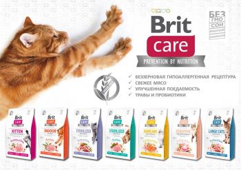 Сухий корм для кішок Brit Care Cat GF Haircare Healthy and Shiny Coat, 0,4 кг Сухий корм для кішок Brit Care Cat GF Haircare Healthy and Shiny Coat, 0,4 кг | Фото 5