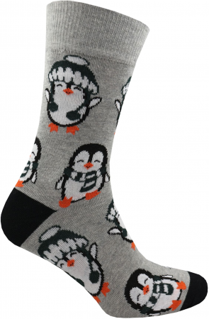 Шкарпетки чоловічі Premier Socks 27 1 пара з малюнком (4820163324791) | Фото 2