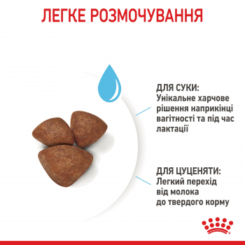 Сухий корм Royal Canin Mini Starter Mother & BabyDog дрібних порід  у період вагітності та лактації | Фото 5