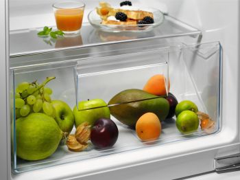 Холодильная камера ELECTROLUX LRB2AE88S Холодильная камера ELECTROLUX LRB2AE88S | Фото 6