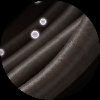 Фен PHILIPS series 5000 BHD538/30 | Фото 4