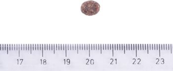 Сухий корм Brit Care Hypoallergenic для дорослих собак дрібних порід ягня 1кг (8595602566136) | Фото 2