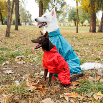 Дощовик Pet Fashion «Rain» для собак, розмір XL, бірюза (4823082425761) Дощовик Pet Fashion «Rain» для собак, розмір XL, бірюза (4823082425761) | Фото 5