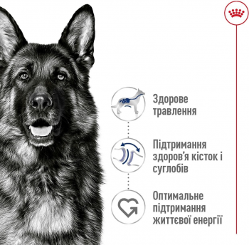 Сухий корм для собак Royal Canin Maxi Adult великих порід 15кг Сухий корм для собак Royal Canin Maxi Adult великих порід 15кг | Фото 6