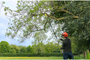 Висоторіз ланцюговий акумуляторний RYOBI RY36PP25A-0, 36В MAX POWER, без АКБ та ЗП (5133005786) Купить ручной садовый инструмент Висоторіз ланцюговий акумуляторний RYOBI RY36PP25A-0, 36В MAX POWER, без АКБ та ЗП (5133005786) | Фото 6