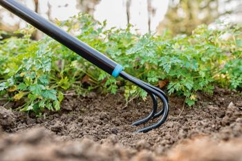 CELLFAST IDEAL, 165 см (40-240) CELLFAST IDEAL, 165 см (40-240) | Фото 2