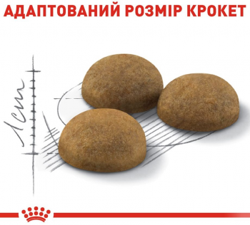 Сухий корм для домашніх довгошерстих котів Royal Canin Indoor Long Hair 2кг (3182550739382) | Фото 2