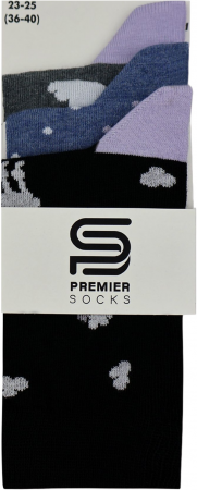 Набір шкарпеток жіночих Premier Socks 36-40 3 пари різнокольорові (4820203350209) | Фото 2