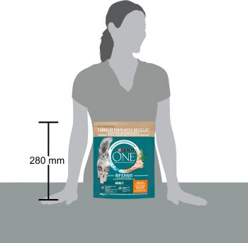 Purina One Adult Cat Chicken & WhlG 800 г (7613035467866) | Фото 4