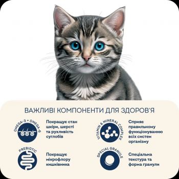 Сухий корм для кошенят до 12 місяців HOME FOOD Курка 1,6кг (4820235020842) | Фото 6