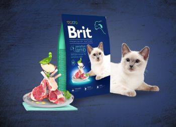 Сухий корм для котів із чутливим травленням Brit Premium by Nature Cat Sensitive з ягням 8 кг (8595602553266) Сухий корм для котів із чутливим травленням Brit Premium by Nature Cat Sensitive з ягням 8 кг (8595602553266) | Фото 7