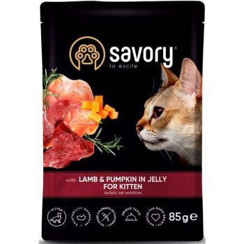 Вологий корм Savory для кошенят, ягня з гарбузом в желе, пауч, 85 г (4820261920086) | Фото 1