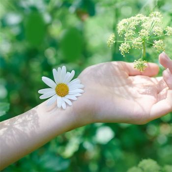 Гігієнічні прокладки NATURELLA Ultra Camomile Normal Single, ароматизовані 10 шт. (4015400125037) | Фото 6