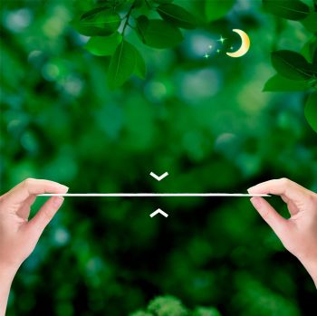 Гігієнічні прокладки NATURELLA Ultra Camomile Night Single, ароматизовані 7 шт. (4015400435846) | Фото 5