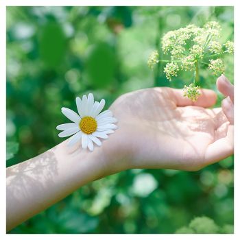 Гігієнічні прокладки NATURELLA Camomile Maxi Single, ароматизовані 8 шт. (4015400317999) Гігієнічні прокладки NATURELLA Camomile Maxi Single, ароматизовані 8 шт. (4015400317999) | Фото 5