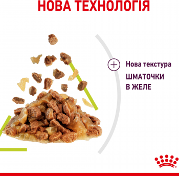 Вологий корм для котів Royal Canin Sensory Smell Jelly 85г | Фото 3