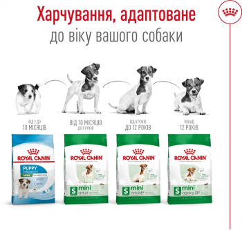 Сухий корм для собак Royal Canin Mini Adult дрібних порід 800г Сухий корм для собак Royal Canin Mini Adult дрібних порід 800г | Фото 4