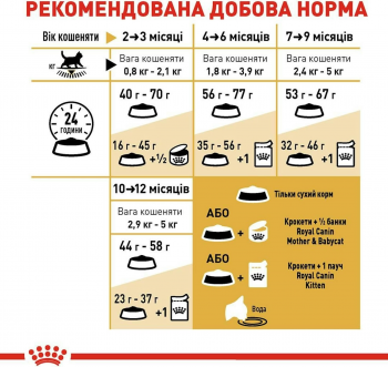 Сухий корм для кошенят породи Британська короткошерста Royal Canin Kitten British Shorthair 400г (3182550816526) Сухий корм для кошенят породи Британська короткошерста Royal Canin Kitten British Shorthair 400г (3182550816526) | Фото 6