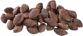 Корм для собак з підвищеною активністю Brit Care Dog Sustainable Activity з куркою та комахами 3кг(8595602559237) | Фото 3