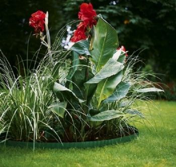 Verto 15G511 зеленая | Фото 3