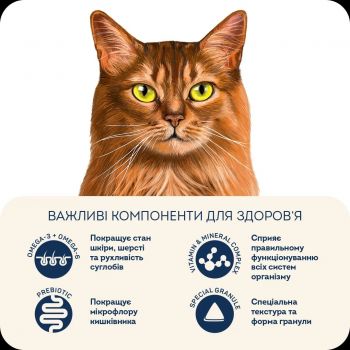 Сухий корм для дорослих котів HOME FOOD Індичка та лосось для здорової шкіри та блиску шерсті 200г (4820290090170) | Фото 5