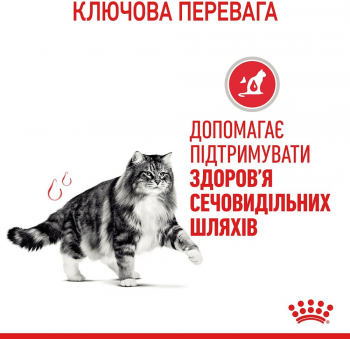 Сухий корм для котів Royal Canin Urinary Care для підтримки здоров'я сечовивідних шляхів 400г | Фото 10